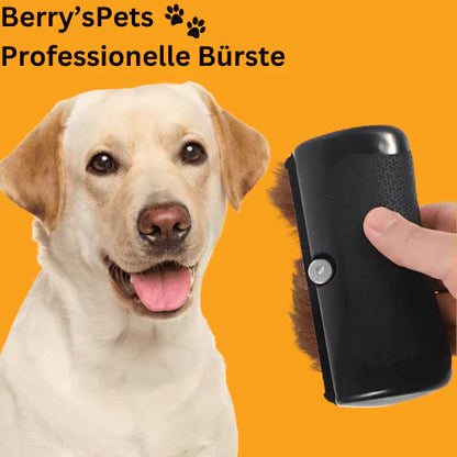 🔥2025 NUEVAS REBAJAS - 50% DE DESCUENTO🔥Pet Professional brush🐶🐱💥