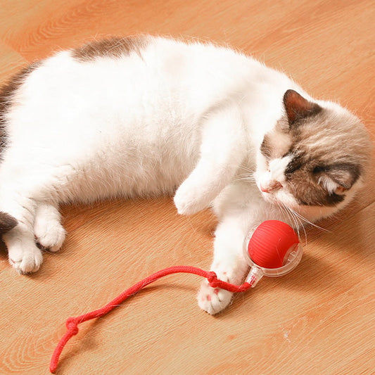 ⏳🔥¡OFERTA LIMITADA 50% DE DESCUENTO! ⏰ Pelota Inteligente Automática para Mascotas