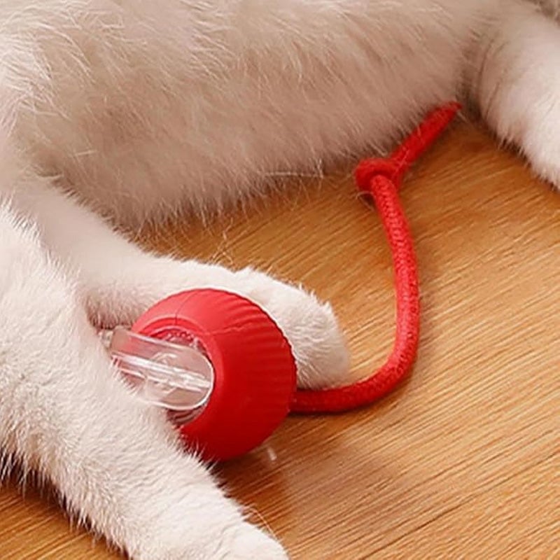 ⏳🔥¡OFERTA LIMITADA 50% DE DESCUENTO! ⏰ Pelota Inteligente Automática para Mascotas