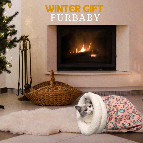 🐱 50% dto. Cama calmante con forma de concha para gatos – reduce la ansiedad, base antideslizante e impermeable, lavable a máquina. ¡Un espacio cálido y seguro para tu gato! ✨🛡️