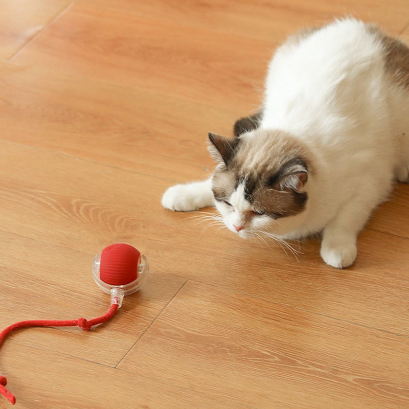 ⏳🔥¡OFERTA LIMITADA 50% DE DESCUENTO! ⏰ Pelota Inteligente Automática para Mascotas