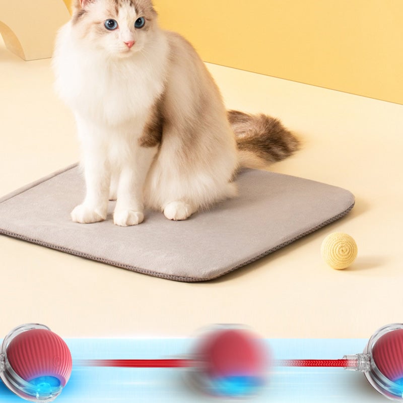 ⏳🔥¡OFERTA LIMITADA 50% DE DESCUENTO! ⏰ Pelota Inteligente Automática para Mascotas