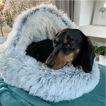 🐶CozyHive😺 - Cama Premium para Mascotas - 49% de Descuento Esta Semana