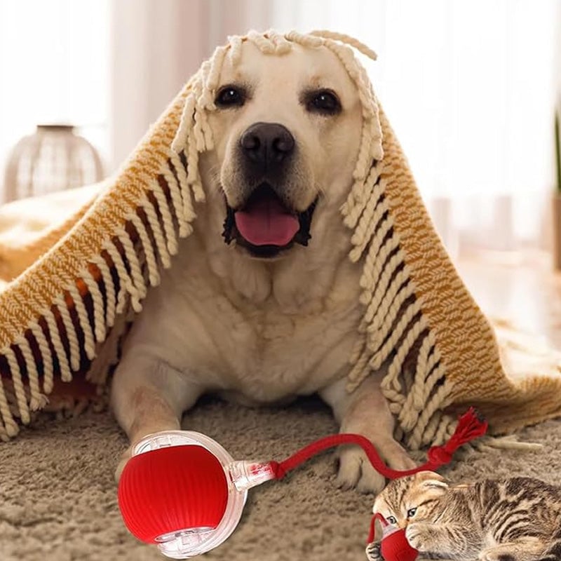 ⏳🔥¡OFERTA LIMITADA 50% DE DESCUENTO! ⏰ Pelota Inteligente Automática para Mascotas