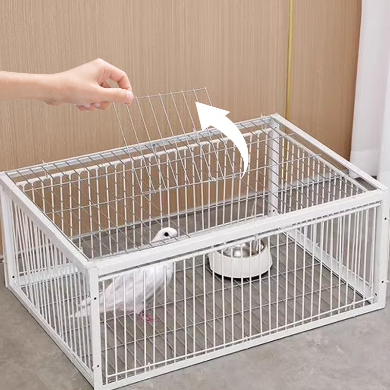 Jaula para pájaros AutoTrap - Sólo entrada, Sin salida