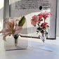 🏺 LIMITED-TIME 50% OFF! 💥 Photo Frame Shaped Clear Flower Vase – Nordic Style, Acrylic, Desktop Decor ✨