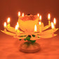 🔥HOT SALE 49% OFF🎂Magic Flower Birthday Candle