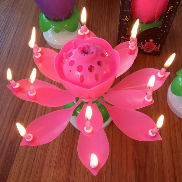 🔥HOT SALE 49% OFF🎂Magic Flower Birthday Candle