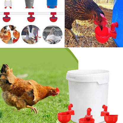 ⏳🔥¡50 % DE DESCUENTO POR TIEMPO LIMITADO! ⏰ 🐔 Bebedero Automático para Aves – Fácil de Instalar y Mantén Siempre Agua Limpia 💧✨