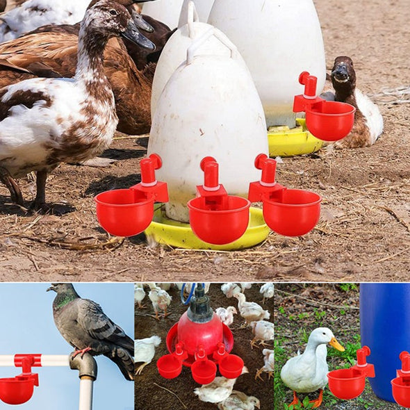 ⏳🔥¡50 % DE DESCUENTO POR TIEMPO LIMITADO! ⏰ 🐔 Bebedero Automático para Aves – Fácil de Instalar y Mantén Siempre Agua Limpia 💧✨