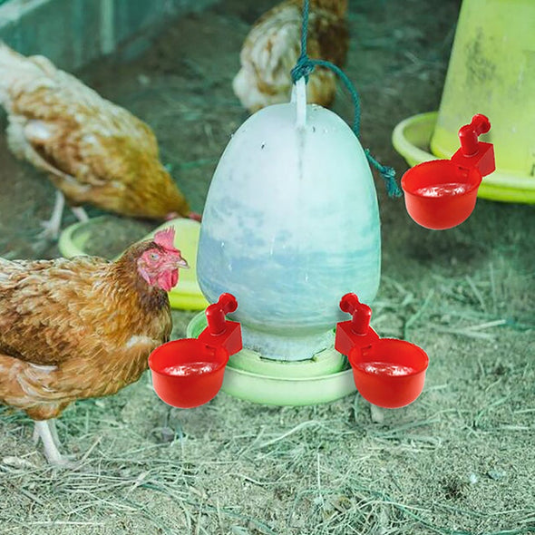 ⏳🔥¡50 % DE DESCUENTO POR TIEMPO LIMITADO! ⏰ 🐔 Bebedero Automático para Aves – Fácil de Instalar y Mantén Siempre Agua Limpia 💧✨