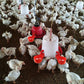 ⏳🔥¡50 % DE DESCUENTO POR TIEMPO LIMITADO! ⏰ 🐔 Bebedero Automático para Aves – Fácil de Instalar y Mantén Siempre Agua Limpia 💧✨
