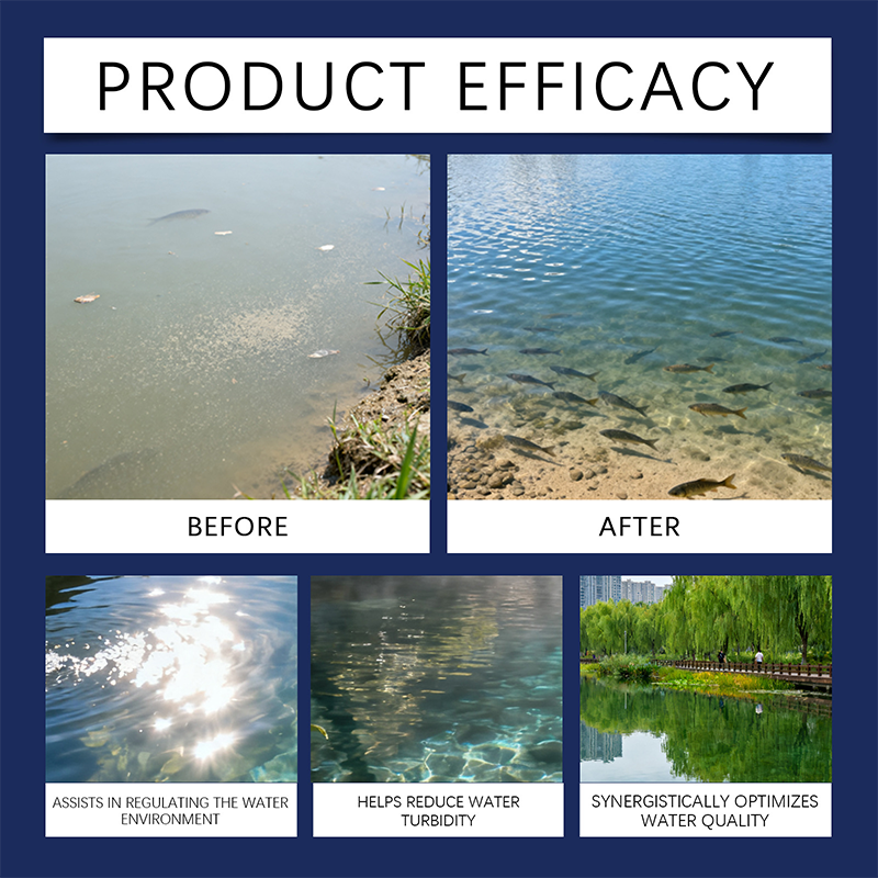 🔥🐟 ¡50% OFF! Clarificador de Agua para Acuarios y Estanques – Agua Cristalina en Poco Tiempo ✨