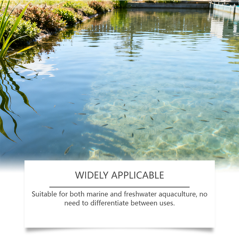 🔥🐟 ¡50% OFF! Clarificador de Agua para Acuarios y Estanques – Agua Cristalina en Poco Tiempo ✨