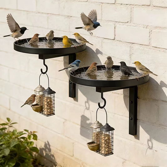 Bañera para Pájaros de Metal Montada en Pared – Acabado Bronce Antiguo 🐦🛁🧱🏡