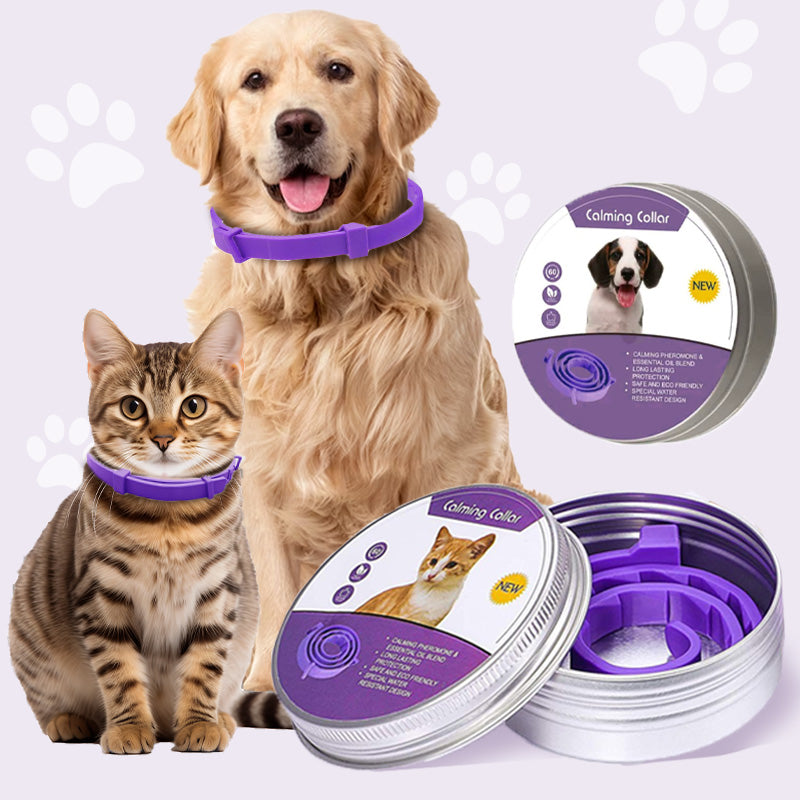 🔥Nuevos productos 2026🔥Collar antimosquitos e insecticida ajustable para gatos y perros
