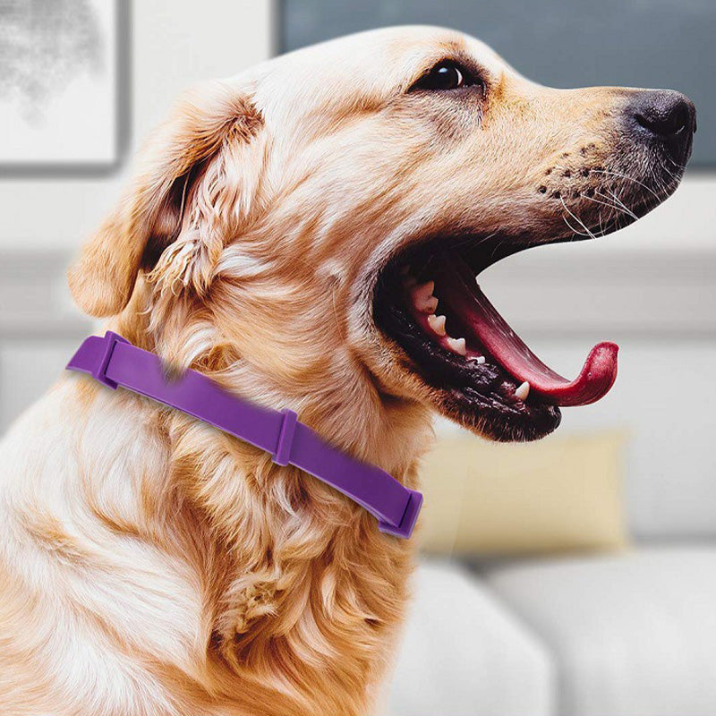🔥Nuevos productos 2026🔥Collar antimosquitos e insecticida ajustable para gatos y perros