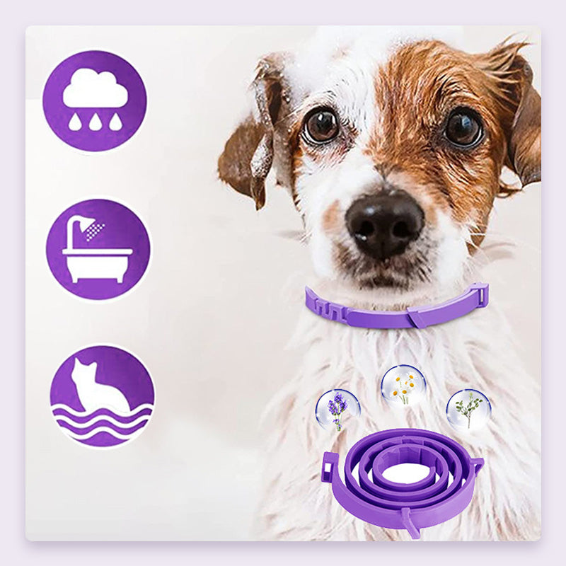 🔥Nuevos productos 2026🔥Collar antimosquitos e insecticida ajustable para gatos y perros