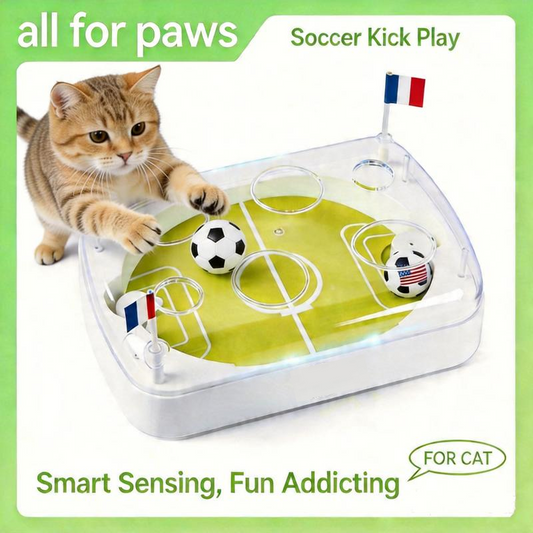 Interactive Cat Football Field Chasing Toy