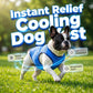 🐶 LIMITED-TIME 50% OFF! ✨ Cooling Dog Vest – Breathable Mesh, Heat Relief, Active Pets 🌊