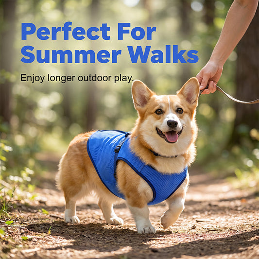 🐶 ¡OFERTA POR TIEMPO LIMITADO 50% DTO! ✨ Chaleco Refrescante para Perros – Malla Transpirable, Alivio del Calor, Mascotas Activas 🌊