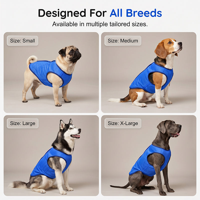🐶 LIMITED-TIME 50% OFF! ✨ Cooling Dog Vest – Breathable Mesh, Heat Relief, Active Pets 🌊