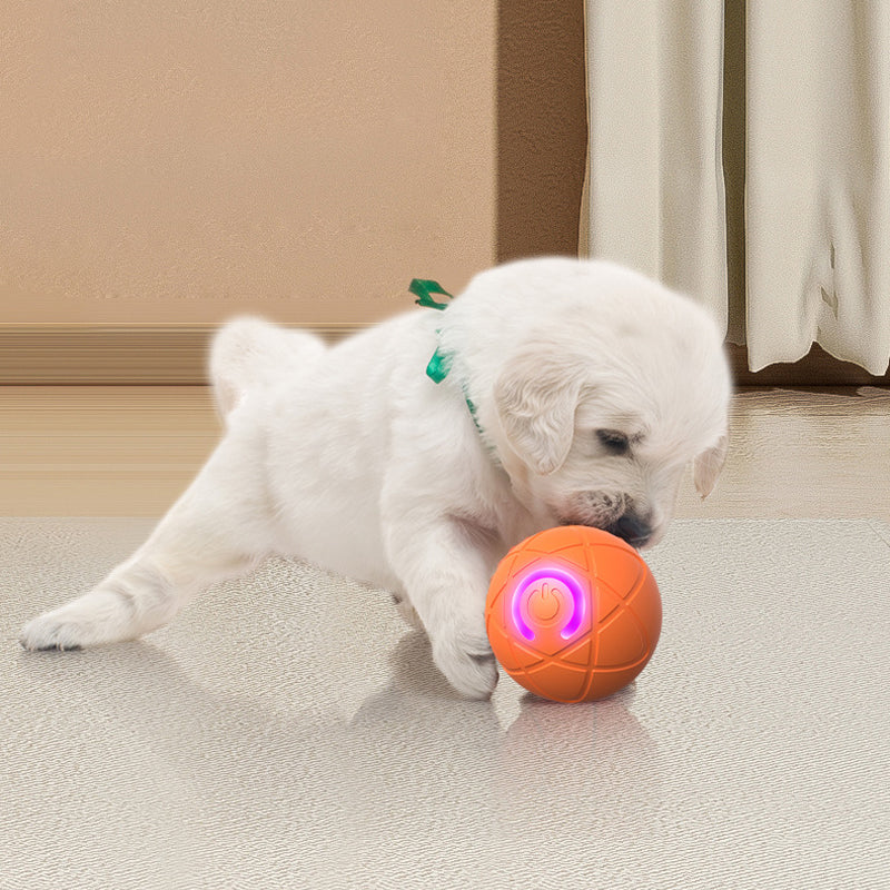 🐱🐶Que las mascotas ya no se sientan solas - Pelota Inteligente Rebotadora Automática