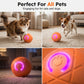 🐱🐶Que las mascotas ya no se sientan solas - Pelota Inteligente Rebotadora Automática