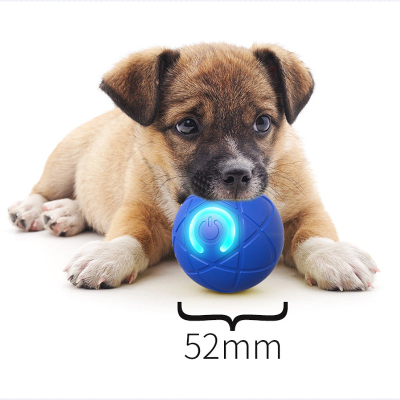🐱🐶Que las mascotas ya no se sientan solas - Pelota Inteligente Rebotadora Automática