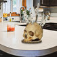Portacuchillos Creativo de Resina con Diseño de Calavera 💀 | Decoración Original para Cocina
