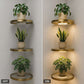 🌿🔥 ¡OFERTA 50% OFF! Estante Flotante con Luz LED para Plantas – Decoración Moderna de Pared que Ilumina tu Hogar ✨🏡