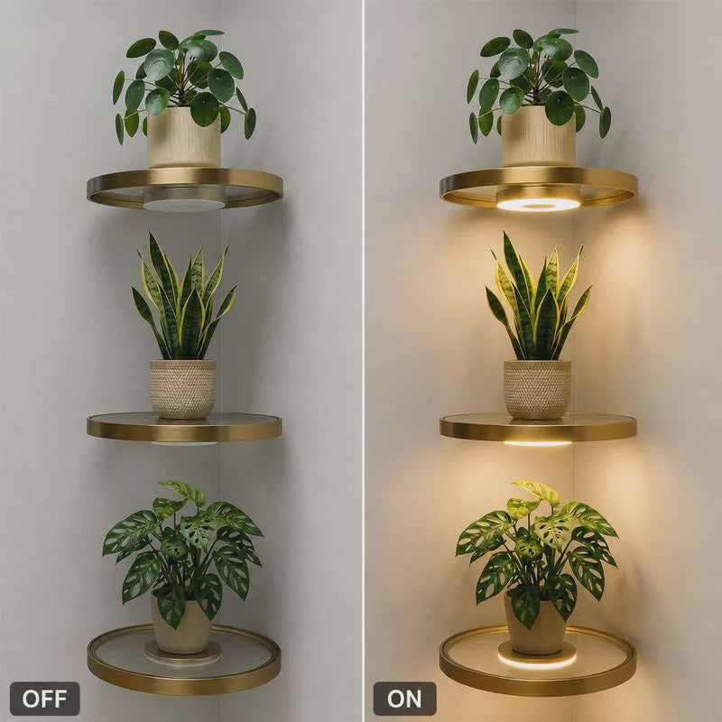 🌿🔥 ¡OFERTA 50% OFF! Estante Flotante con Luz LED para Plantas – Decoración Moderna de Pared que Ilumina tu Hogar ✨🏡