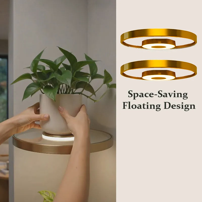 🌿🔥 ¡OFERTA 50% OFF! Estante Flotante con Luz LED para Plantas – Decoración Moderna de Pared que Ilumina tu Hogar ✨🏡