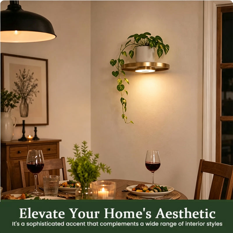 🌿🔥 ¡OFERTA 50% OFF! Estante Flotante con Luz LED para Plantas – Decoración Moderna de Pared que Ilumina tu Hogar ✨🏡