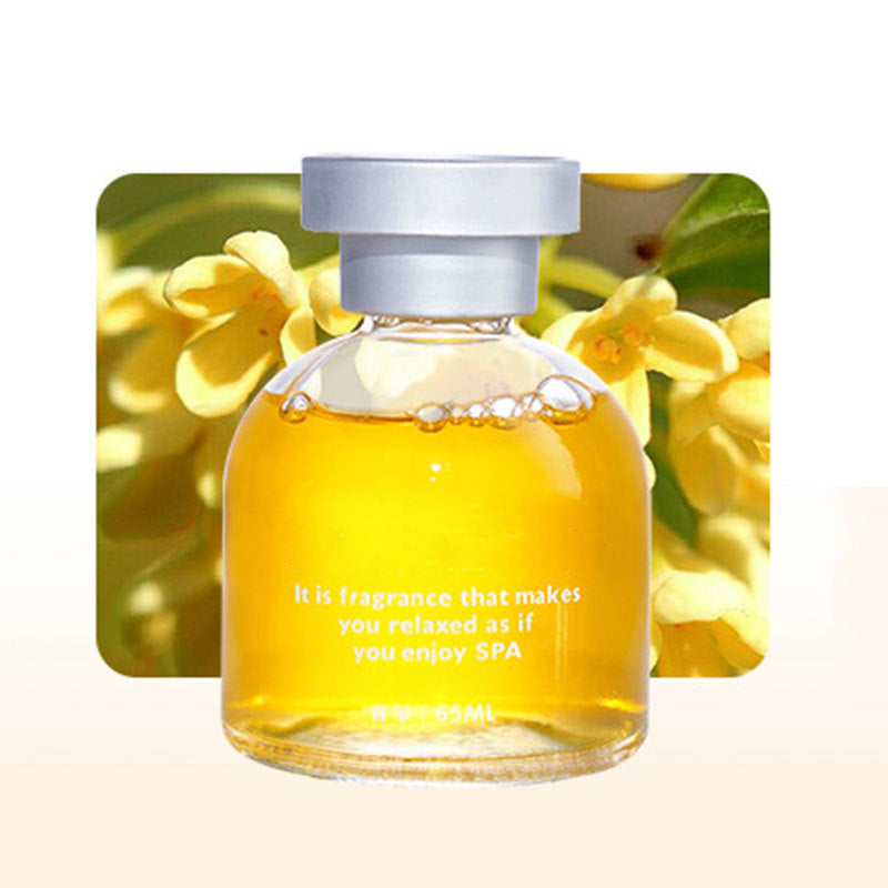 ✨️✨️Amazing 50% OFF!🌿Buy 1 Get 1 Free🌺Premium Fragrance for Fresh Air！🚗Long Lasting Car Perfume