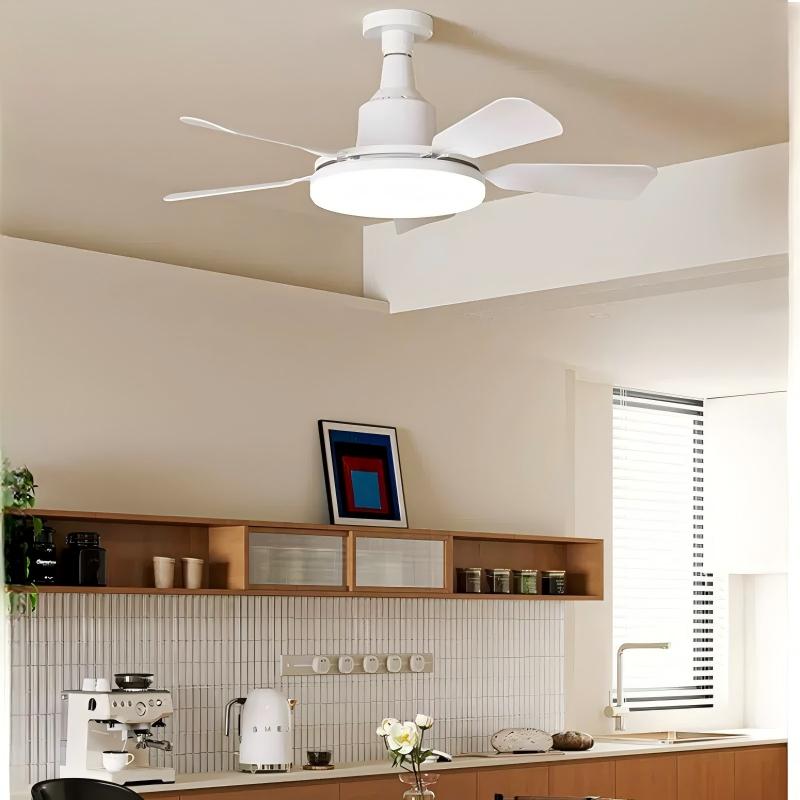 Socket Fan Light With Remote