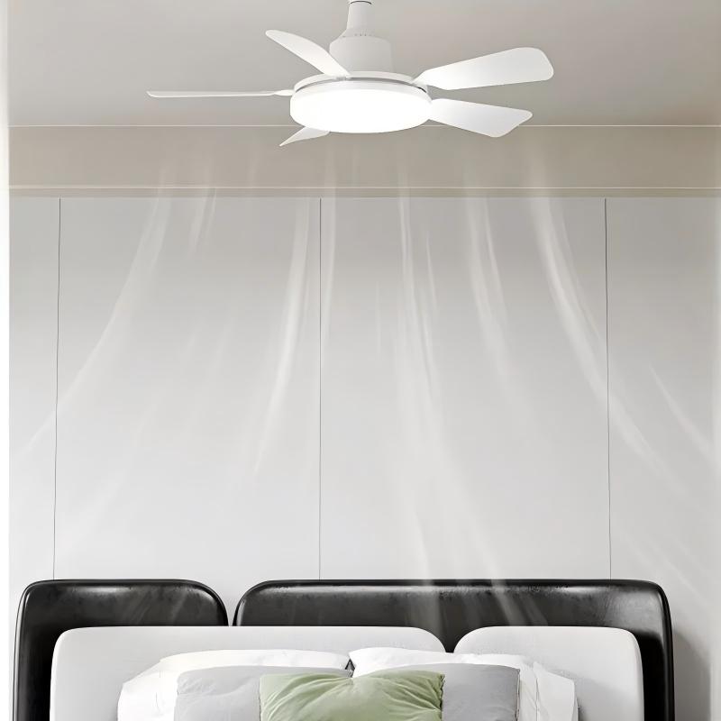 Socket Fan Light With Remote