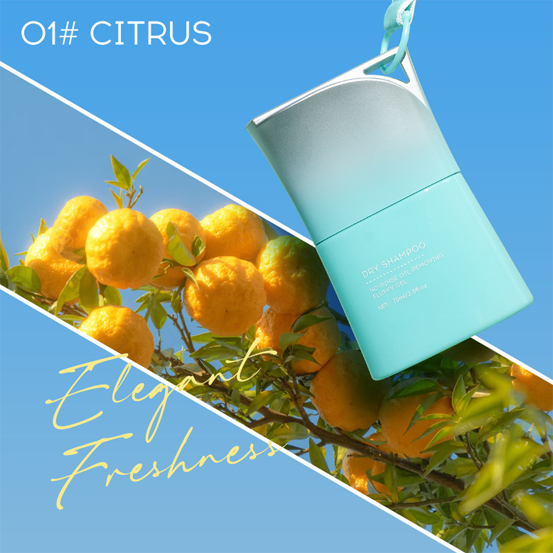 ⏰ 50% OFF🧴 Gel Champú Seco Sin Enjuague con Peine Integrado – ¡Cabello Fresco en 2 Minutos, Sin Agua! 💆‍♀️