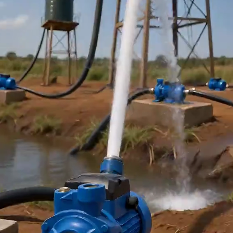 Bomba Autoaspirante de Presión de Agua