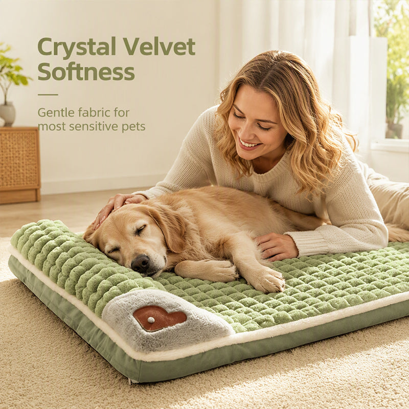 🛌 Colchoneta de Lujo para Mascotas ☁️