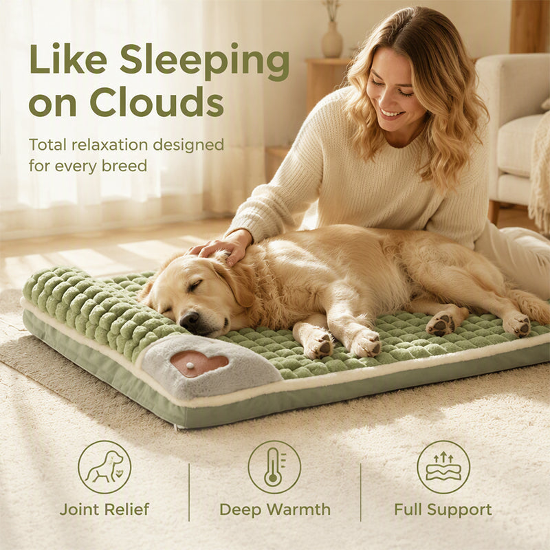 🛌 Colchoneta de Lujo para Mascotas ☁️