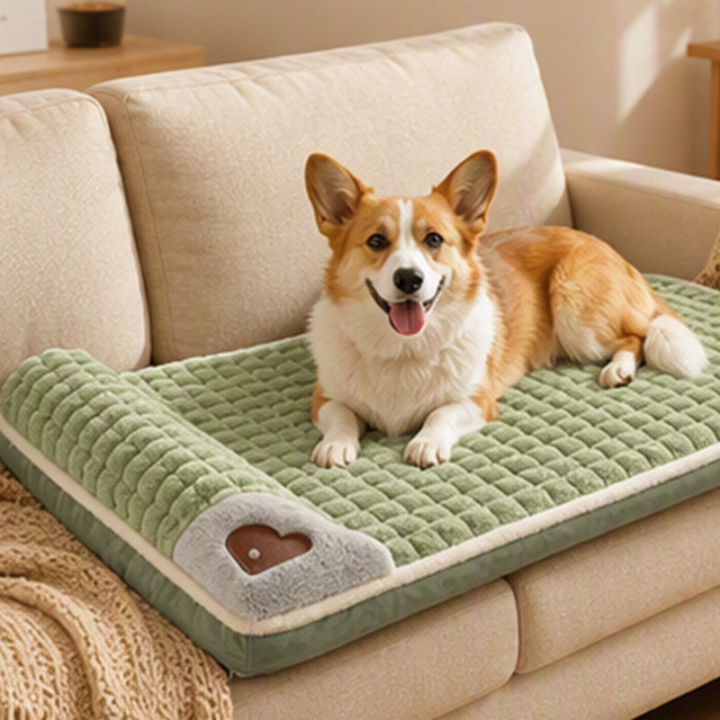 🛌 Colchoneta de Lujo para Mascotas ☁️