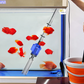 Cambiador de Agua Eléctrico para Acuario con Filtro y Limpiador por Succión