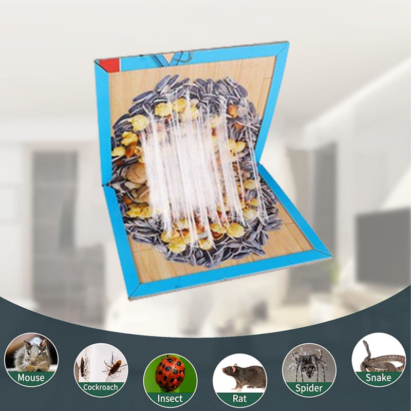 Mouse Glue Trap Indoor Use for Home