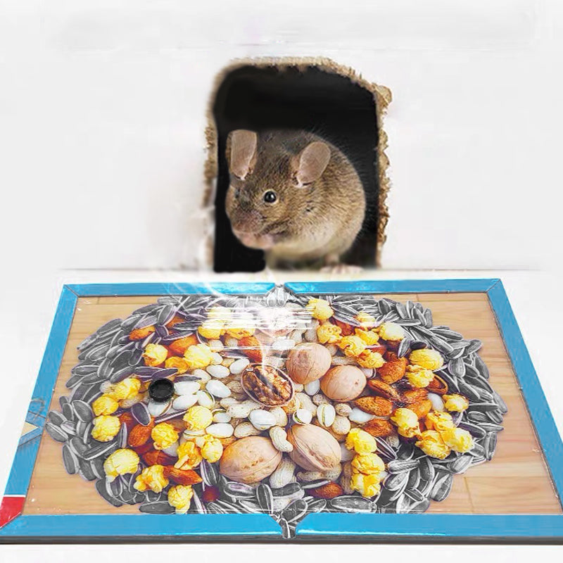 Mouse Glue Trap Indoor Use for Home