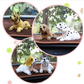 ⏳🔥¡50 % DE DESCUENTO POR TIEMPO LIMITADO! ⏰ 🐶 Bonito perro Bobblehead – asiente en cada curva – 10 razas, peluche suave, cadena dorada – saca sonrisas a cada trayectoria 🚗