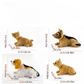⏳🔥¡50 % DE DESCUENTO POR TIEMPO LIMITADO! ⏰ 🐶 Bonito perro Bobblehead – asiente en cada curva – 10 razas, peluche suave, cadena dorada – saca sonrisas a cada trayectoria 🚗