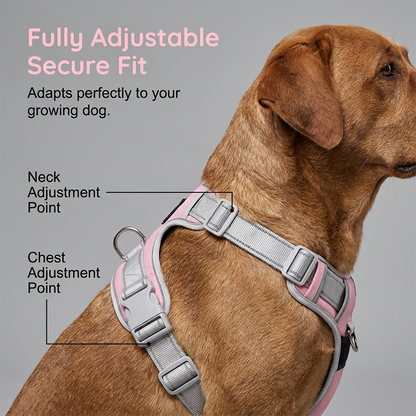 🎁2026 New Arrivals 50% OFF💥Escape-Proof Dog Harness with Top Handle – Adjustable No-Pull Vest with 3M Reflective Straps