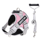 🎁2026 New Arrivals 50% OFF💥Escape-Proof Dog Harness with Top Handle – Adjustable No-Pull Vest with 3M Reflective Straps