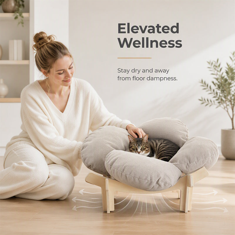🌼 ¡50% DE DESCUENTO POR TIEMPO LIMITADO! 🐾 Cama de Madera Elevada en Forma de Pétalo para Mascotas con Cojín – Soporte Ortopédico, Diseño Transpirable y Madera Maciza – Un Retiro Acogedor ✨